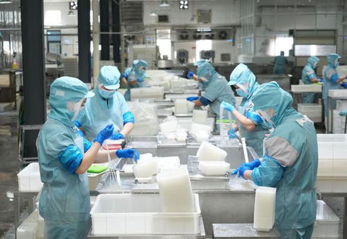 樂陵 小魔芋撬動(dòng)大市場(chǎng)，小食品生產(chǎn)線展現(xiàn)產(chǎn)業(yè)新活力